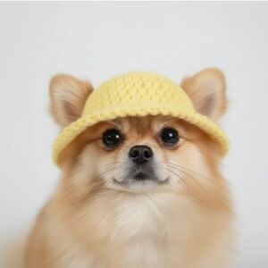 Yellow Bucket Dog Hat, Small Dog Hat, Dog Accessories, Dog Clothes Puppy Apparel